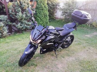 Kawasaki 300 ABS - 5