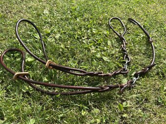 Predám vystavovanie vodítka pre malé aj veľké plemená psov - 5