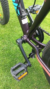 CANNONDALE - 5