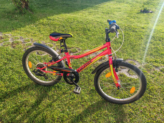 Detsky bicykel DEMA 20 - 5