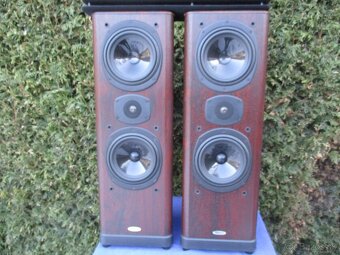 Tanoy 633 Rosewood D30 - 5