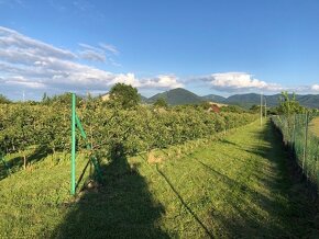 oplotený ovocný sad s elektrinou a studňou - 5