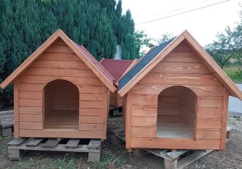 Buda pre psa, psia buda, búda pre mačky - 5