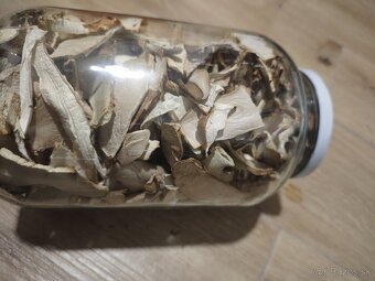 Sušené dubáky - 5