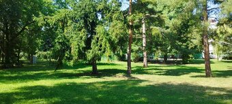 3. izbový, príjemný, vkusný byt v peknom prostredí - 5