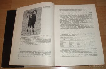 Dutorohá zvěř - 5