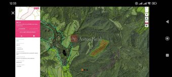 Na predaj: lesný pozemok o rozlohe 15 ha, Kokava Nad Rimavic - 5