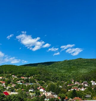 predáme stavebný pozemok s vidieckym domčekom - 5
