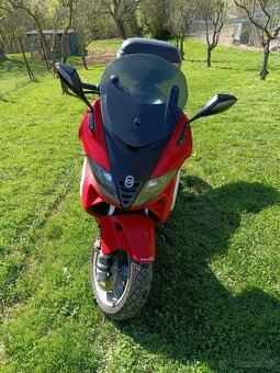 Gilera nexus 500 - 5