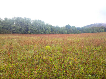 Na predaj: Investičný stavebný pozemok 5 470 m² v malebnom p - 5