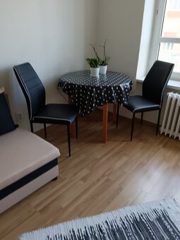 1,5IZB 63M2 S LOGGIOU CENTRUM PRI STEREJ RADNICI - 5