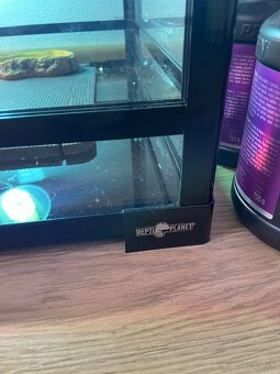 Terarium - 5