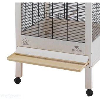 Agapornis - 5