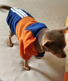 Mikina pre psíka - 5