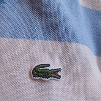 Lacoste prúžok - 5