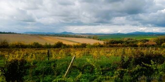 Pozemok na výstavbu rek. domu Vráble– Dolný Dušnok, Nitra - 5