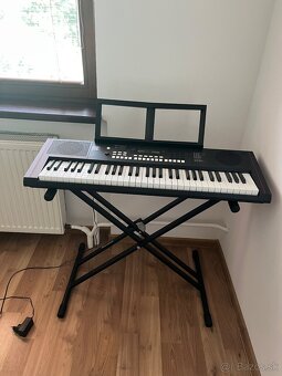 Keyboard, Soundking - 5