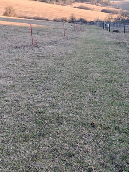 Predaj orná pôda Bodiná 3830 m2 - 5