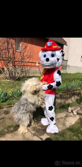 Párty s maskotmi , labkova patrola, šmolkovia , mickey mouse - 5