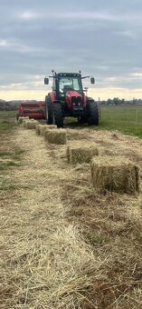 Predam seno male baliky - 5