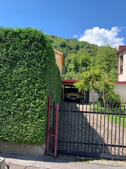 Záhradnícke služby - 5