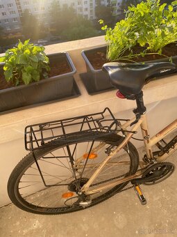 Bicykel Kellys Clea 50 Coffee - 5