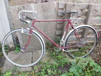 Stary favorit,eska - 5