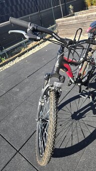 CTM Rocky 2.0 24" - 5