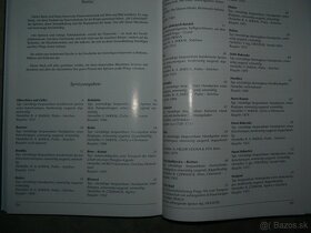 Historické Stříkačky - 5