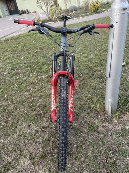 Kellys swag 50 2021 M/L - 5