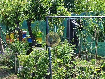 Na predaj záhradka v Modranke 250m2 - 5