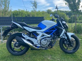 Suzuki SFV Gladius 650 - 5
