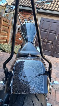 Harley Davidson - 5