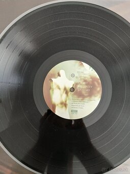 Cocteau Twins - Treasure - 5