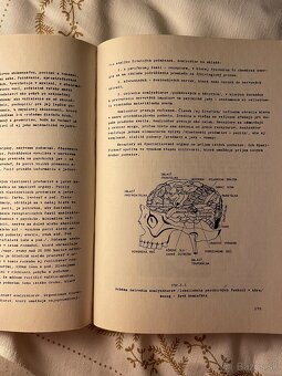 Pardel Psychológia 1982 - 5