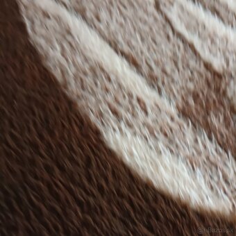 Deka obojstranná- retro - 5