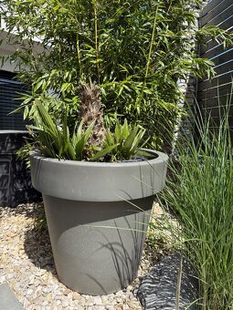 Masívny plastový kvetináč + palma - 5