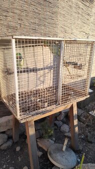 Klietka pre papagája, fretku...., kuriatka....50eur - 5