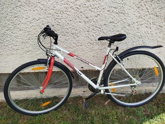 Bicykel 28 Author - 5