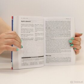 ÍRSKO - Turistický sprievodca Rough Guides - 5