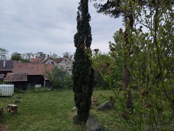 Šikovný pozemok na chalupu Dubovce - 5