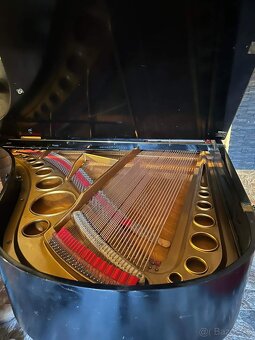 Wiener Record Orginal Rakúsá kvalita - 5