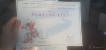 Pametni list SNP.Partizan.Odboj.SNP. - 5