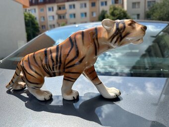 Royal dux tiger - 5