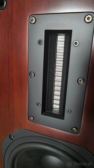 Aurum Cantus M-103 (Rosewood) - 5