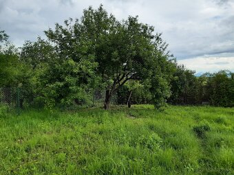 ZAHRADA ŠACA - 5