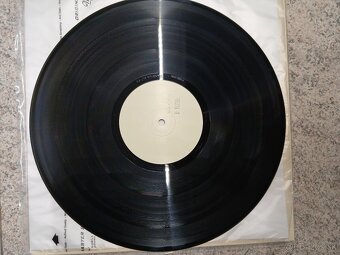 HVOB - Rocco - 5