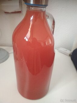 Hlošina okolikatá  /Elaeagnus umbellata/ - 5