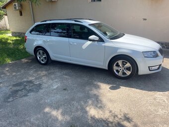 Octavia - 5