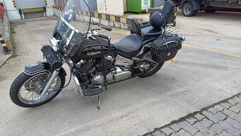 Yamaha XVS 650 DRAG STAR 1999 - 5